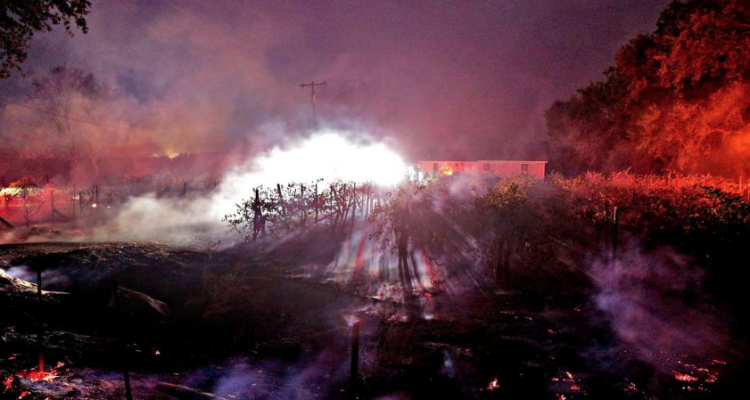 Sonoma in fiamme, distrutte o evacuate decine di cantine